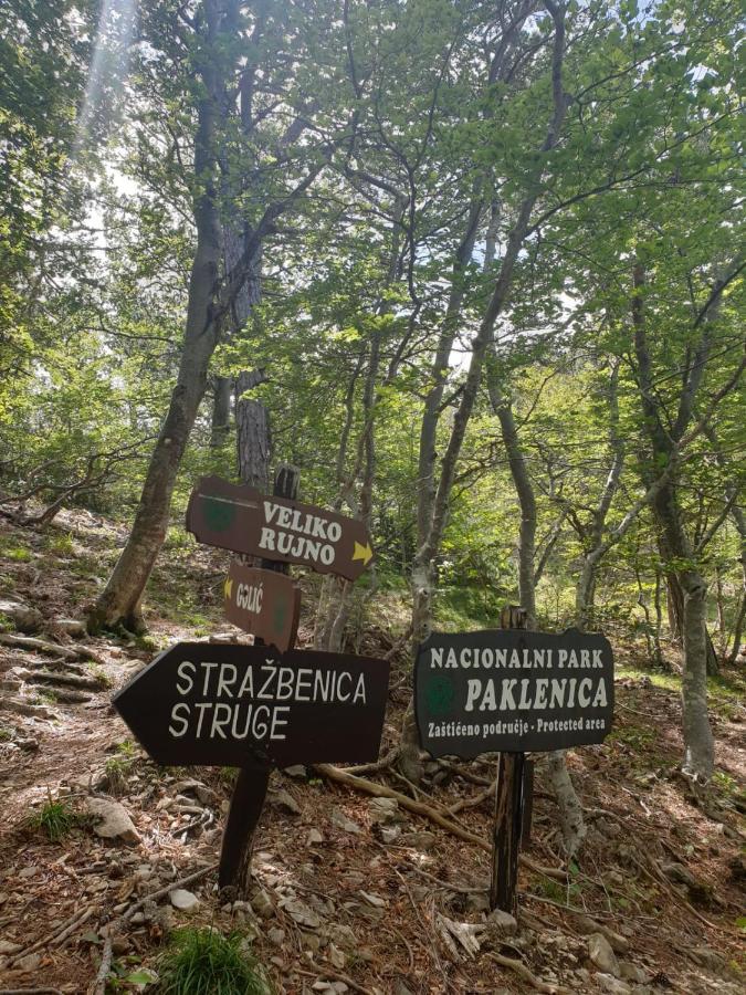 Vito Apartment Starigrad Paklenica Bagian luar foto