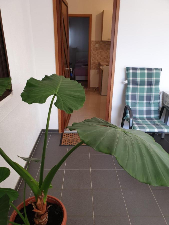 Vito Apartment Starigrad Paklenica Bagian luar foto
