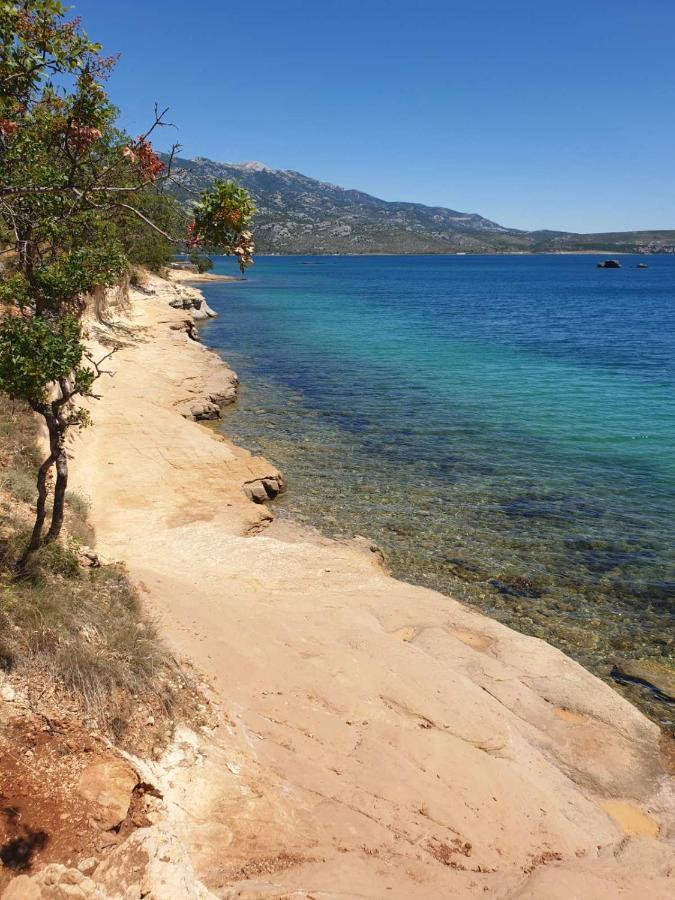 Vito Apartment Starigrad Paklenica Bagian luar foto