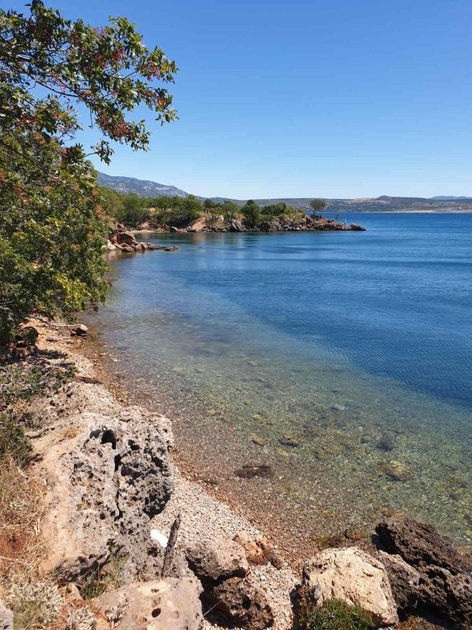 Vito Apartment Starigrad Paklenica Bagian luar foto